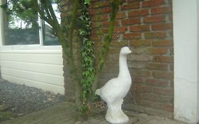 B&B Kostelijk
